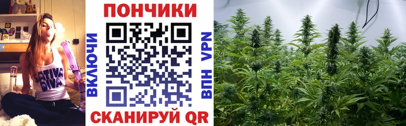 Купить закладку Гашиш  Кодеин  Псилоцибиновые грибы  Меф мяу мяу  Канабис  Октябрьский