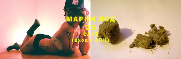 spice Дмитриев