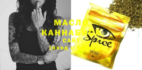 spice Дмитриев