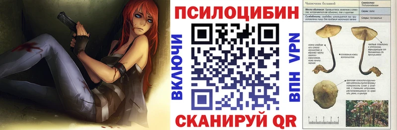 Купить закладки  Октябрьский  Псилоцибиновые грибы Psilocybe 